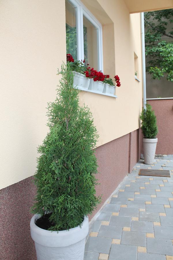 Royal Family Apartment Nis Exterior photo